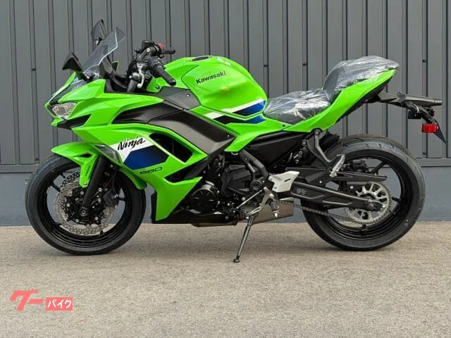 Kawasaki Ninja 650 2026 ETC 2026 — миниатюра 5