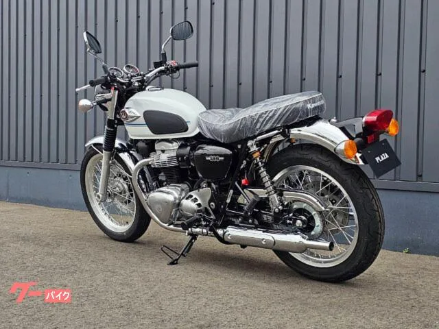 Kawasaki W800 2026 ETC - 2026 — миниатюра 3