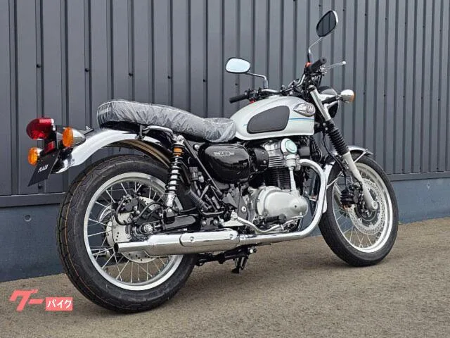 Kawasaki W800 2026 ETC - 2026 — миниатюра 4