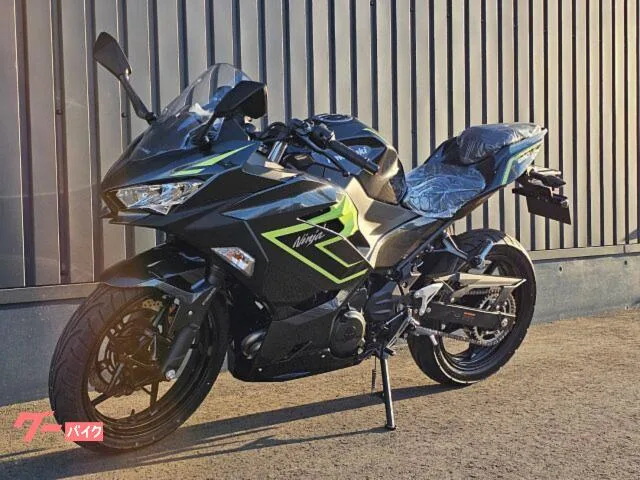 Kawasaki Ninja 250 2026 LED 2026 — миниатюра 3