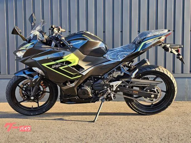 Kawasaki Ninja 250 2026 LED 2026 — миниатюра 5
