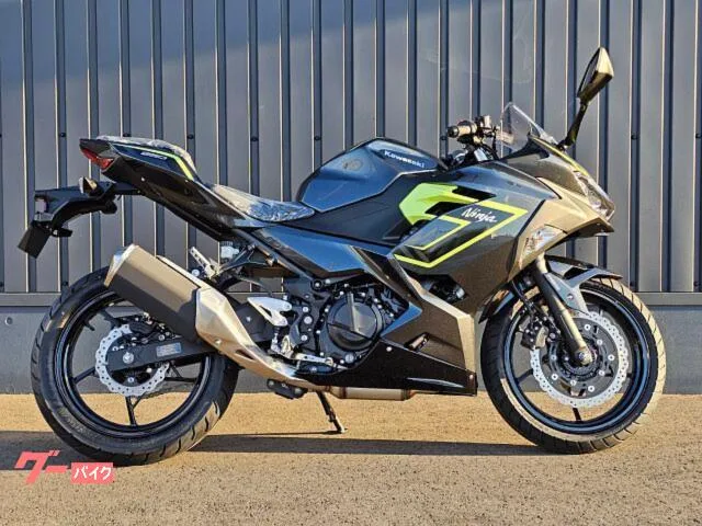 Kawasaki Ninja 250 2026 LED 2026 — фото 1, купить с доставкой в Москву