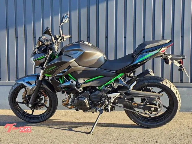 Kawasaki Z250 - 2024 — миниатюра 2