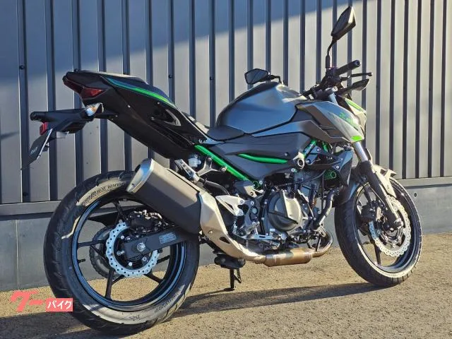 Kawasaki Z250 - 2024 — миниатюра 3