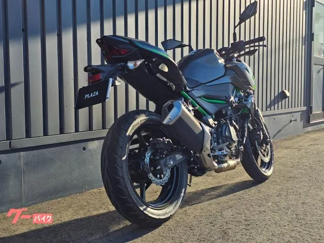 Kawasaki Z250 - 2024 — миниатюра 4
