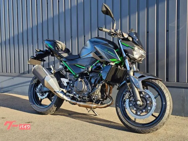 Kawasaki Z250 - 2024 — миниатюра 5