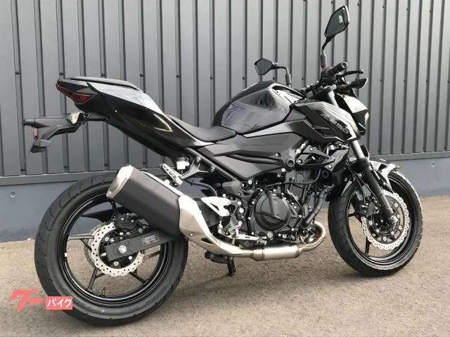 Kawasaki Z250 LED 2026 — миниатюра 2