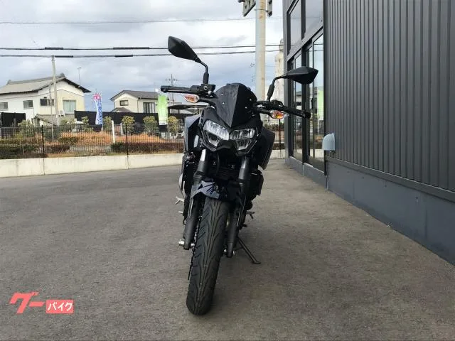 Kawasaki Z250 LED 2026 — миниатюра 3