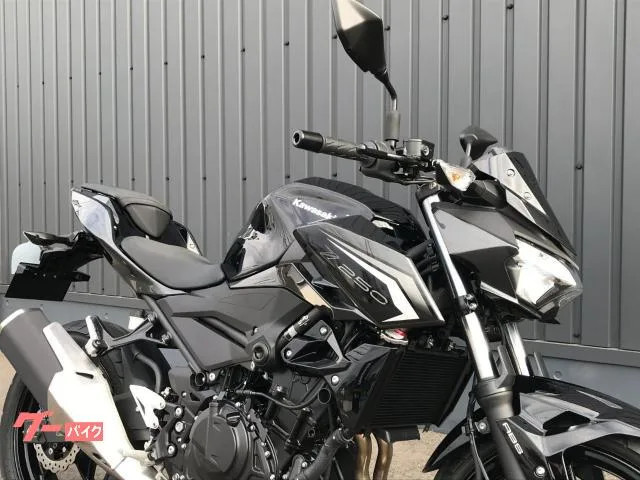 Kawasaki Z250 LED 2026 — миниатюра 5