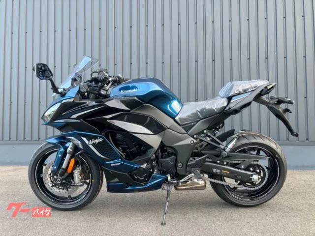 Kawasaki Ninja 1100 SX SE 2026 S46 2026 — миниатюра 2
