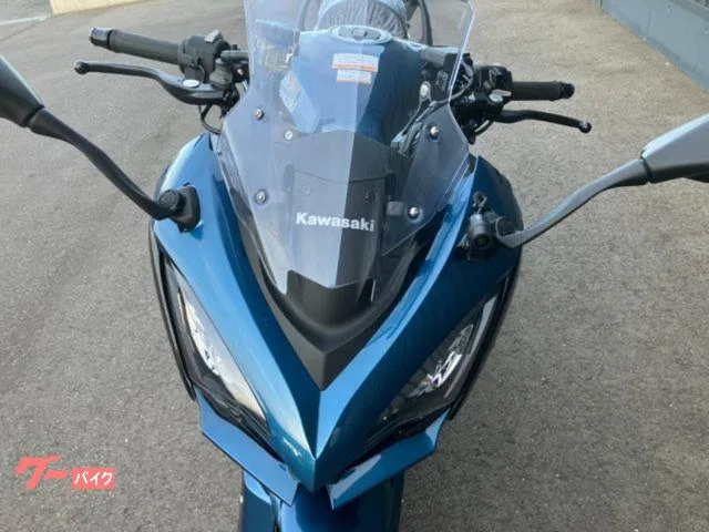 Kawasaki Ninja 1100 SX SE 2026 S46 2026 — миниатюра 5