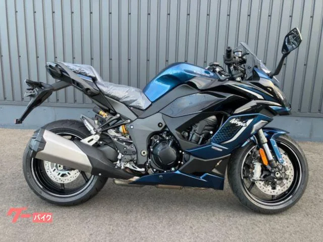 Kawasaki Ninja 1100 SX SE 2026 S46 2026 — фото 1, купить с доставкой в Москву