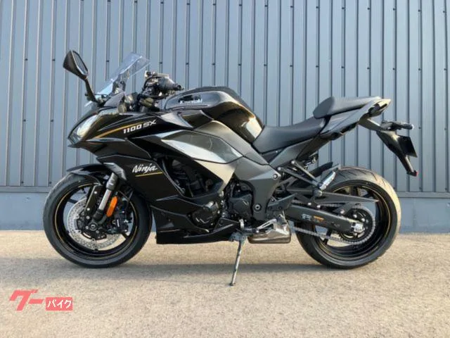 Kawasaki Ninja 1100 SX 2026 2026 — миниатюра 2
