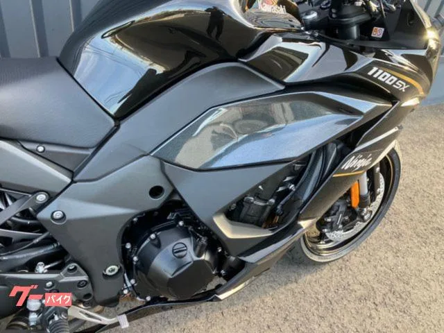 Kawasaki Ninja 1100 SX 2026 2026 — миниатюра 3