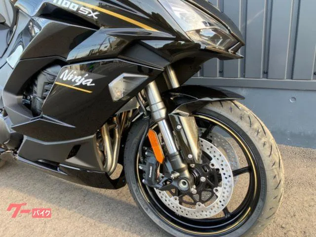 Kawasaki Ninja 1100 SX 2026 2026 — миниатюра 4