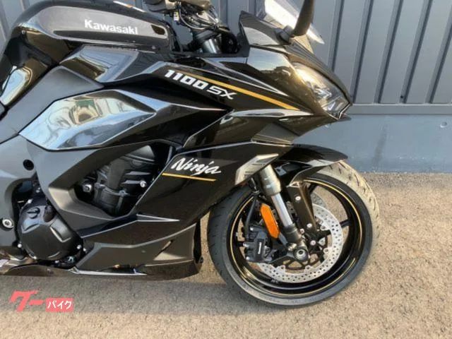 Kawasaki Ninja 1100 SX 2026 2026 — миниатюра 5