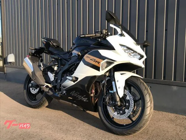 Kawasaki Ninja ZX-4R SE 37mmSFF-BP 2026 — миниатюра 3