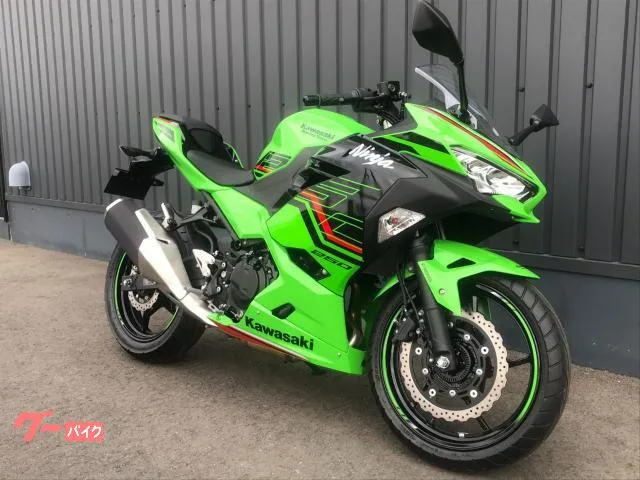 Kawasaki Ninja 250 KRT 2LED 2024 — миниатюра 3