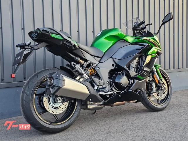 Kawasaki Ninja 1100 SX SE ETC/ - 2025 — миниатюра 2