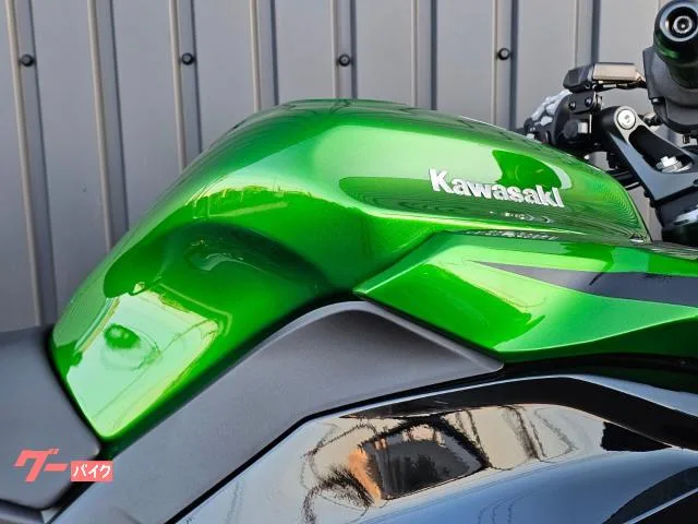 Kawasaki Ninja 1100 SX SE ETC/ - 2025 — миниатюра 3
