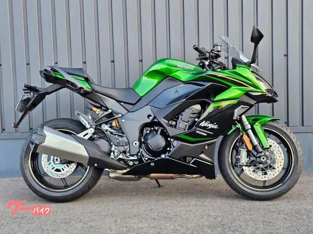 Kawasaki Ninja 1100 SX SE ETC/ - 2025 — фото 1, купить с доставкой в Москву