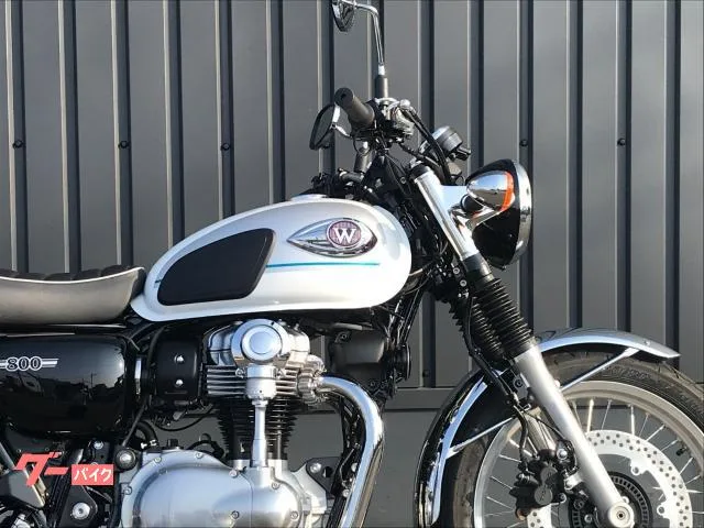 Kawasaki W800 ETC - 2026 — миниатюра 2
