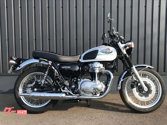 Kawasaki W800 ETC - 2026 — фото 1, купить с доставкой в Москву