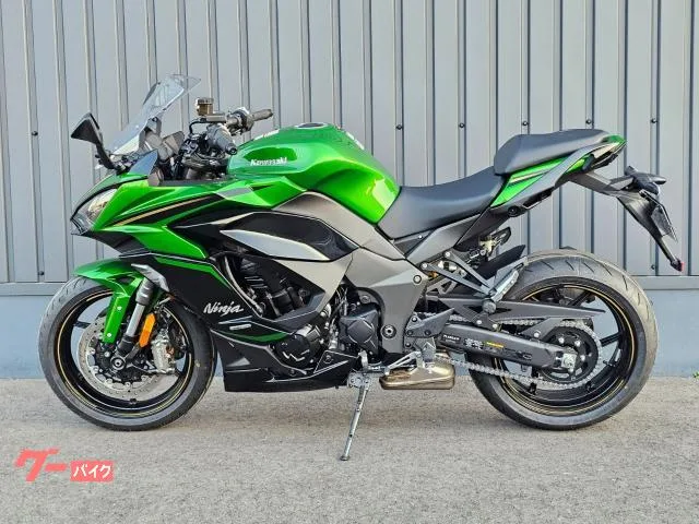 Kawasaki Ninja 1100 SX SE TC/ - 2025 — миниатюра 2
