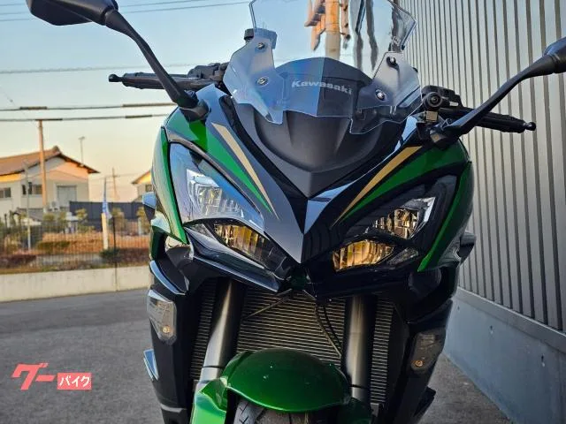 Kawasaki Ninja 1100 SX SE TC/ - 2025 — миниатюра 3