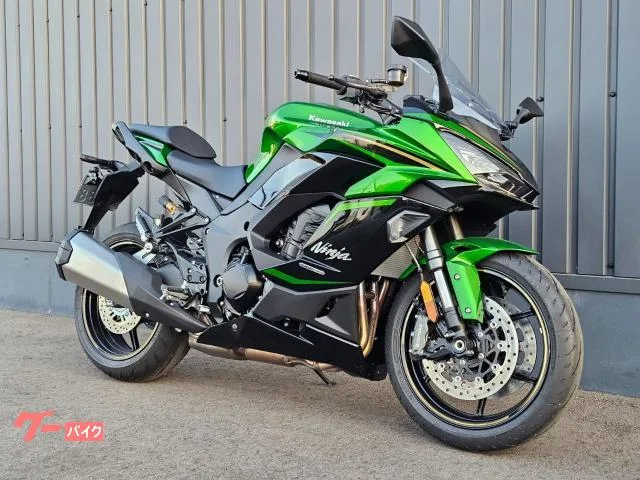 Kawasaki Ninja 1100 SX SE TC/ - 2025 — миниатюра 4