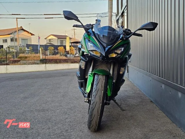 Kawasaki Ninja 1100 SX SE TC/ - 2025 — миниатюра 5