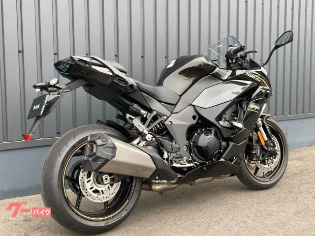 Kawasaki Ninja 1100 SX ETC/ - 2026 — миниатюра 3