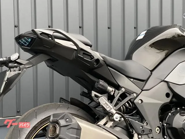 Kawasaki Ninja 1100 SX ETC/ - 2026 — миниатюра 4