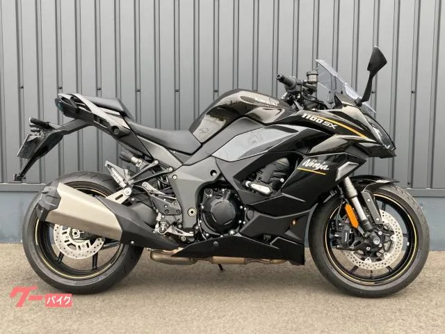 Kawasaki Ninja 1100 SX ETC/ - 2026 — фото 1, купить с доставкой в Москву
