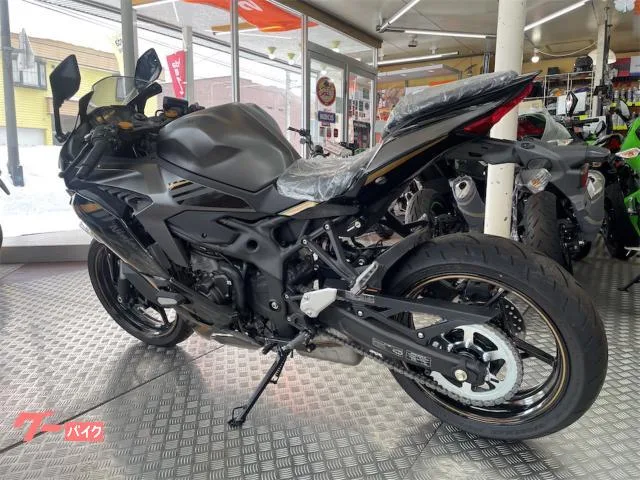 Kawasaki Ninja ZX-25R SE 2022 2022 — миниатюра 2