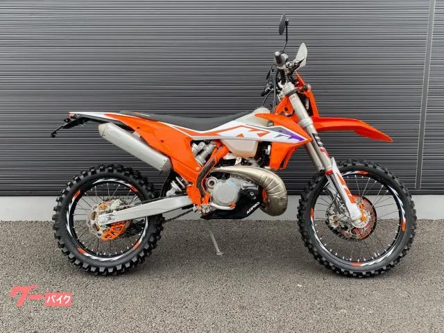 KTM 250EXC 3cm 2023 — фото 1, купить с доставкой в Москву