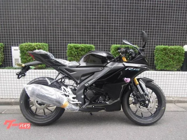 Yamaha YZF-R15 2023 2023 — миниатюра 2