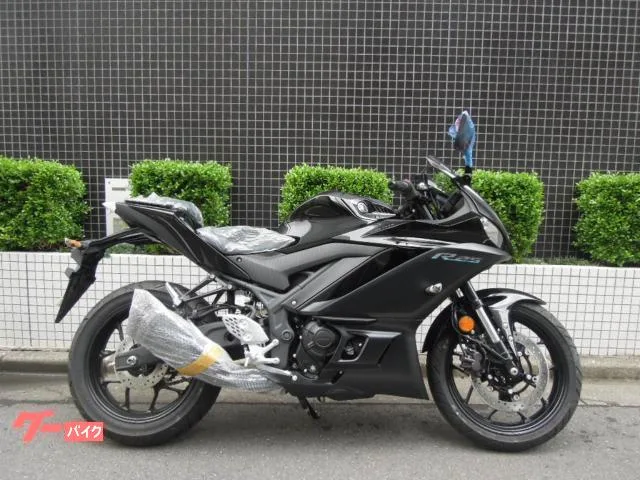 Yamaha YZF-R25 2023 2023 — миниатюра 2