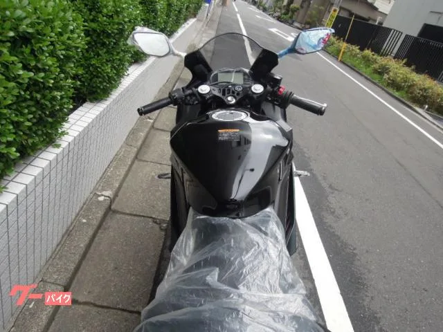 Yamaha YZF-R25 2023 2023 — миниатюра 4