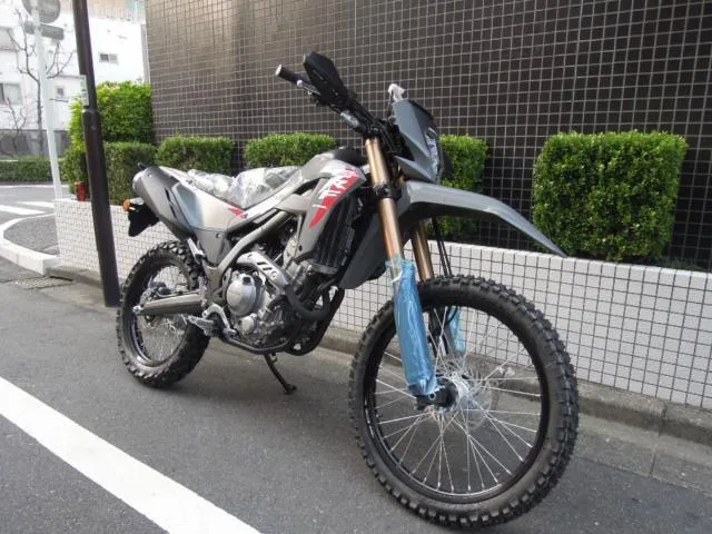 Honda CRF250L 2025 2025 — миниатюра 2