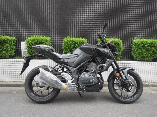 Yamaha MT-25 2025 2025 — миниатюра 2