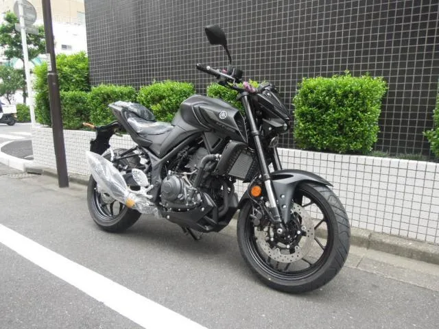 Yamaha MT-25 2025 2025 — фото 1, купить с доставкой в Москву