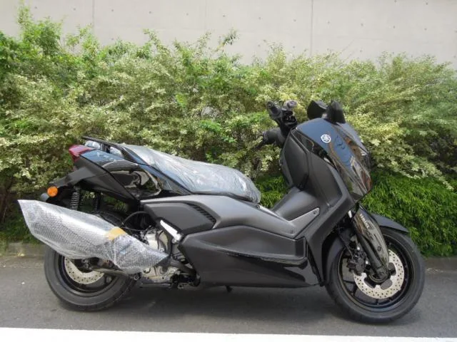 Yamaha X-MAX2502025 2025 — миниатюра 2