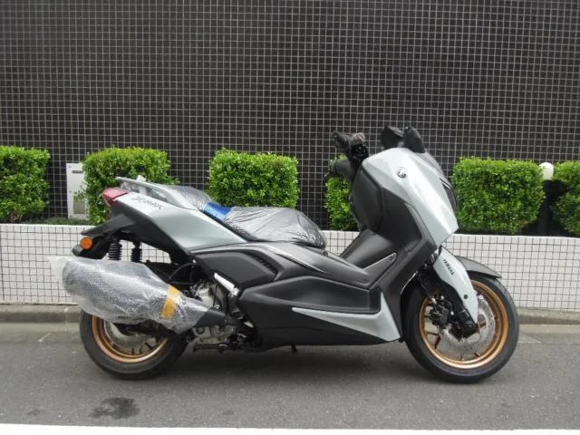 Yamaha X-MAX2502025 2025 — миниатюра 2