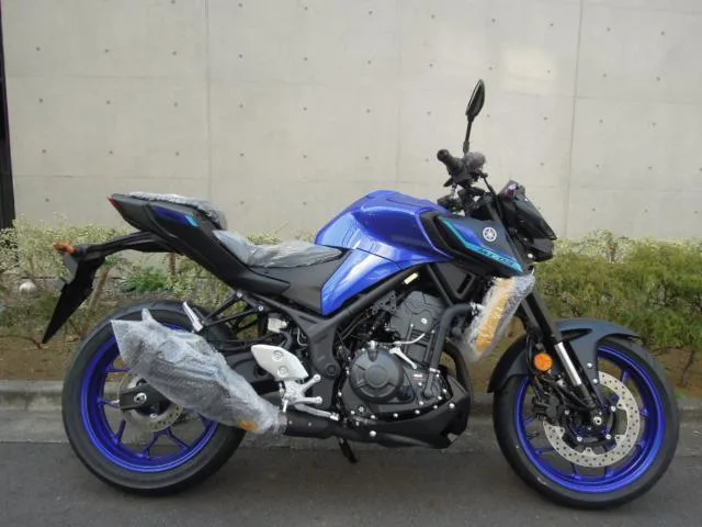 Yamaha MT-03(320cc) 2025 2025 — фото 1, купить с доставкой в Москву