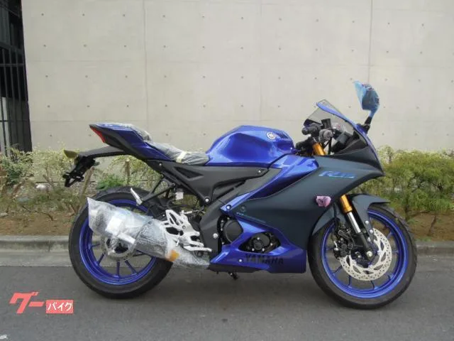 Yamaha YZF-R15 2023 2023 — миниатюра 2
