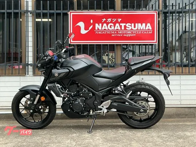 Yamaha MT-25 RG74J 2022 — миниатюра 2