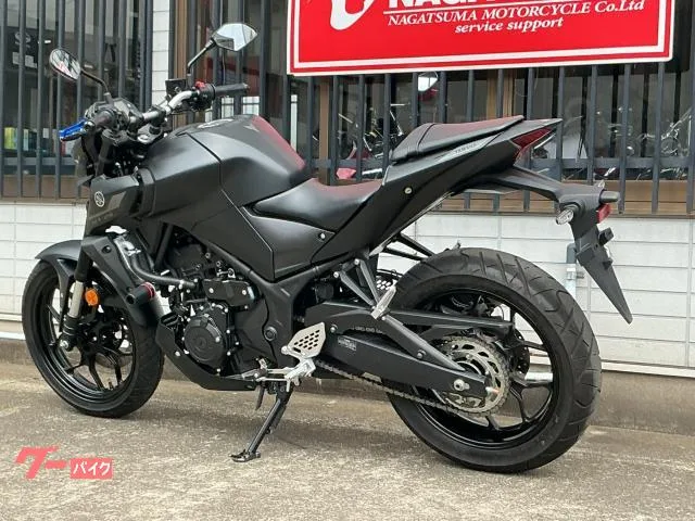 Yamaha MT-25 RG74J 2022 — миниатюра 3