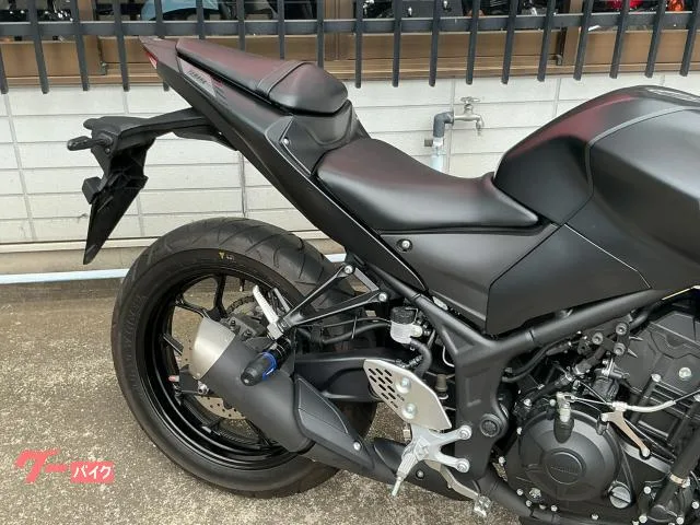 Yamaha MT-25 RG74J 2022 — миниатюра 5