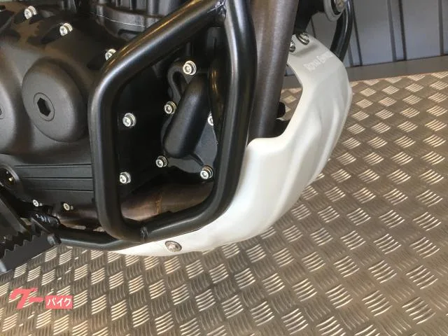 ROYAL ENFIELD 450 ETC2.0 2024 — миниатюра 3